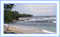 thumbnail_3