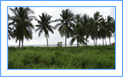 thumbnail_5